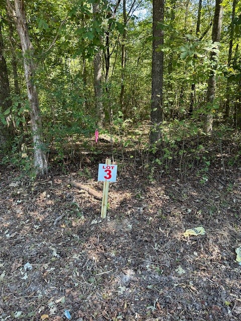 0 Sales Landing Road Camden, TN 38320 - Photo 1 of 31 Gallery Image 1