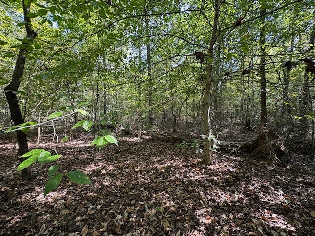 0 Sales Landing Road Camden, TN 38320 - Photo 12 of 31 Gallery Image 12