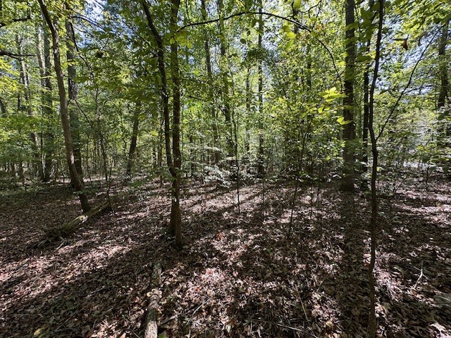 0 Sales Landing Road Camden, TN 38320 - Photo 24 of 31 Gallery Image 24