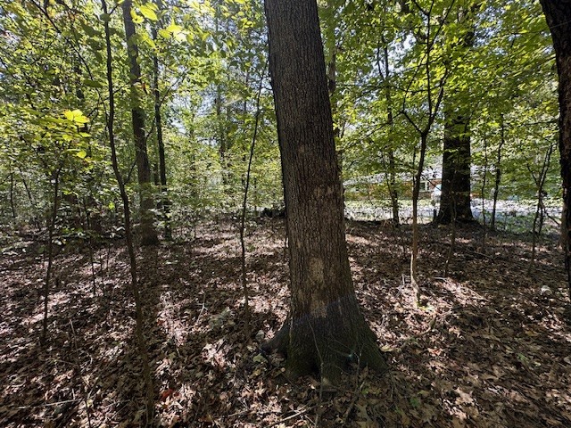 0 Sales Landing Road Camden, TN 38320 - Photo 26 of 31 Gallery Image 26