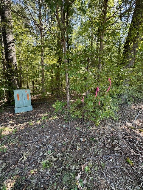 0 Sales Landing Road Camden, TN 38320 - Photo 29 of 31 Gallery Image 29