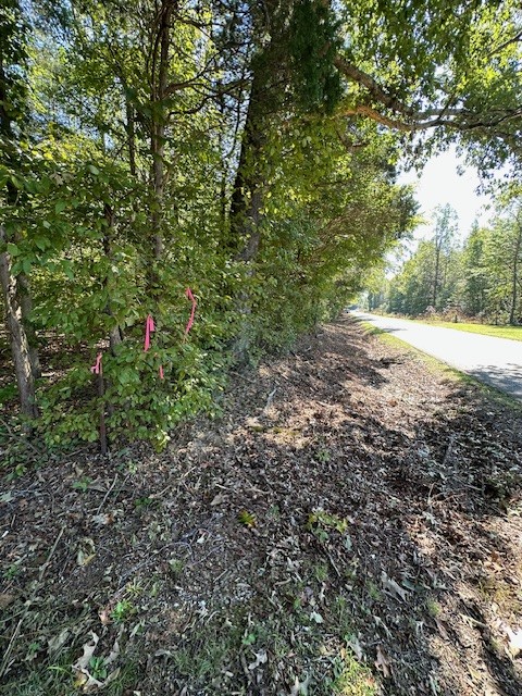 0 Sales Landing Road Camden, TN 38320 - Photo 30 of 31 Gallery Image 30