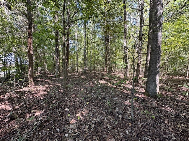 0 Sales Landing Road Camden, TN 38320 - Photo 6 of 31 Gallery Image 6