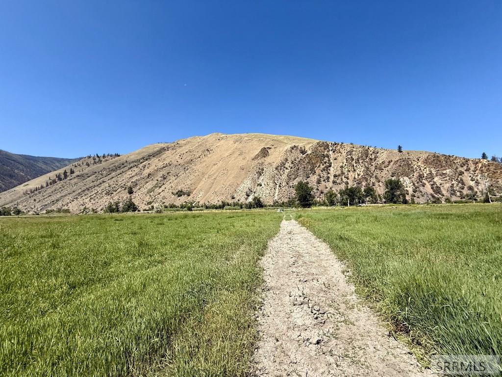 4 Mule View Lane North Fork, ID 83466 - Photo 48 of 53