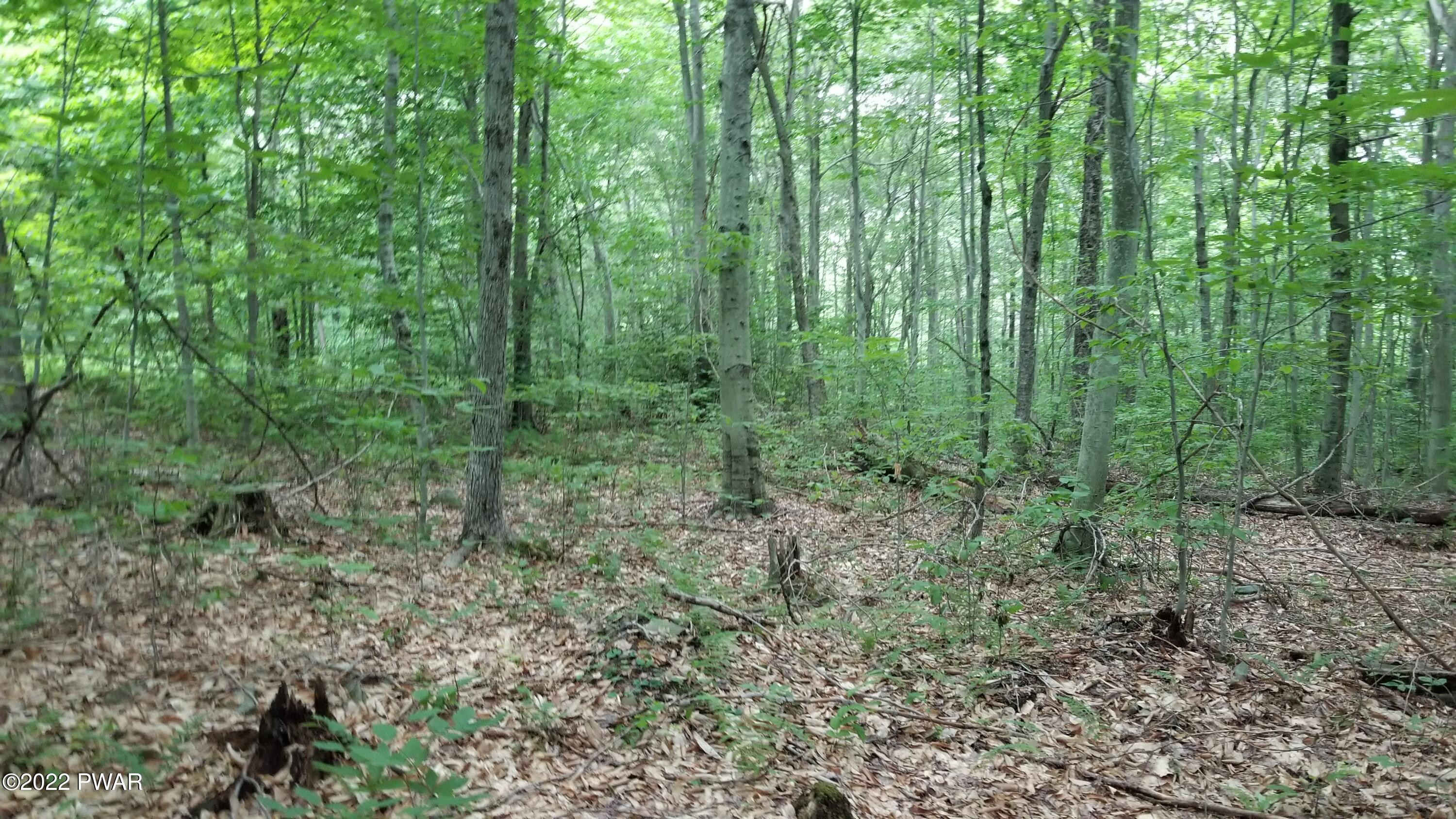 Lot 80 Stonegate Road Equinunk, PA 18417 - Photo 3 of 58