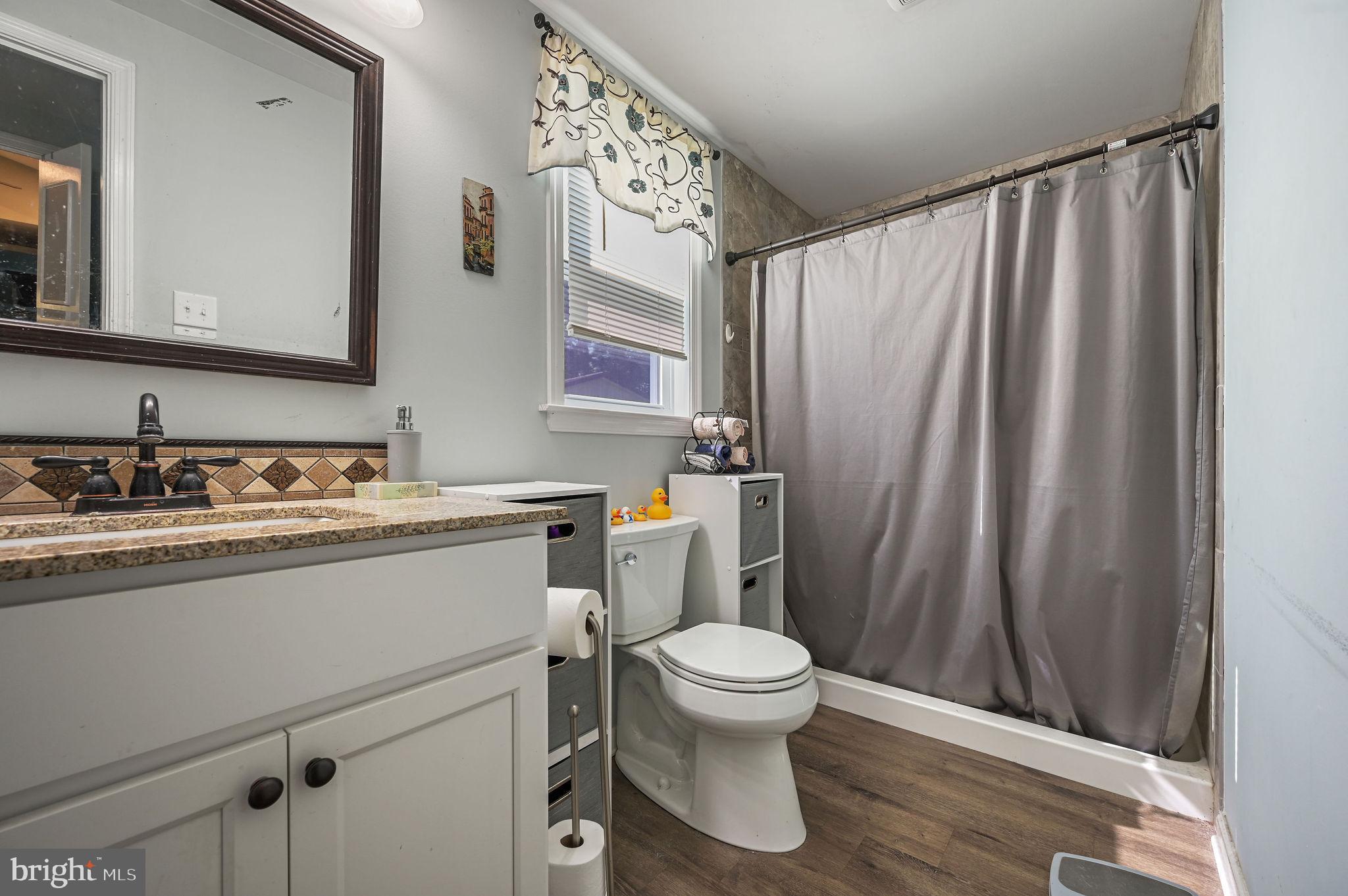 2821 Sandtown Road Felton, DE 19943 - Photo 26 of 26 a bathroom with a sink a toilet a mirror and shower curtain