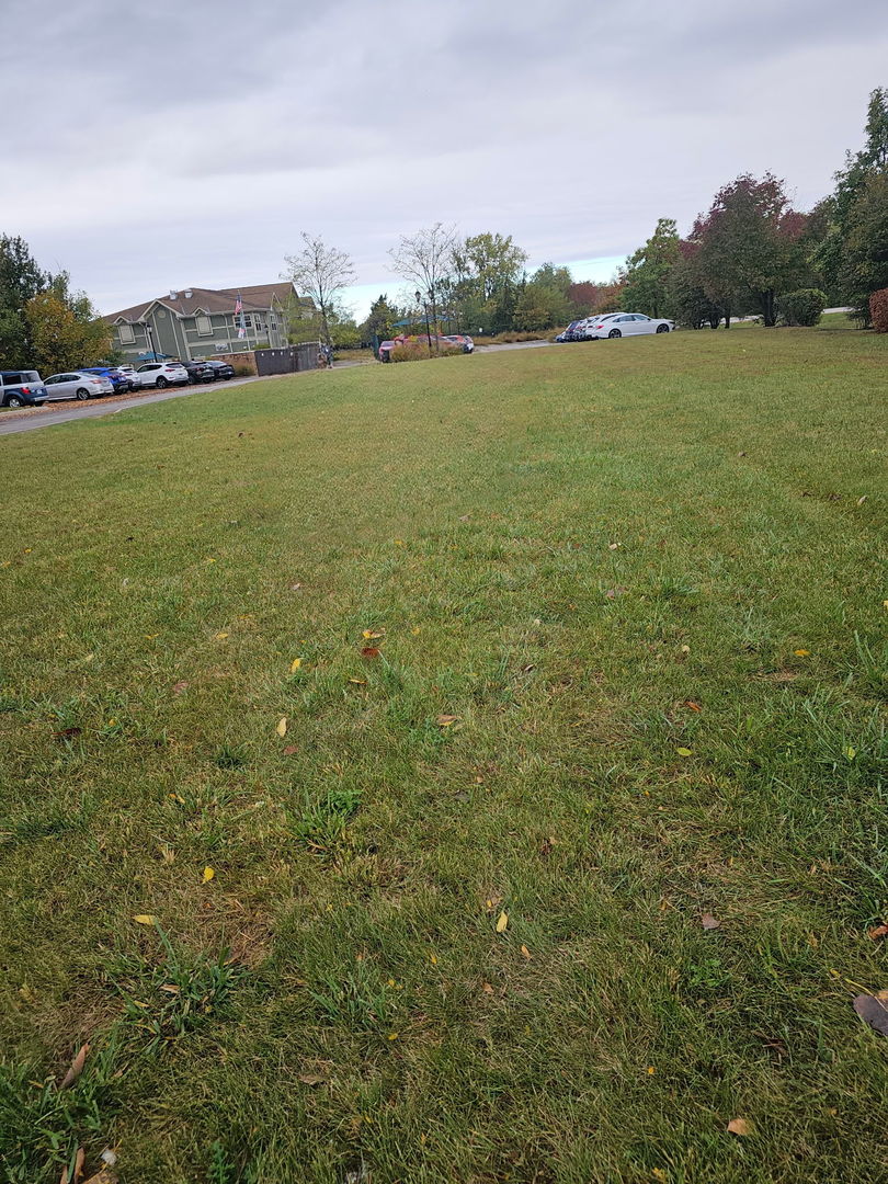 a view of lake and mountain