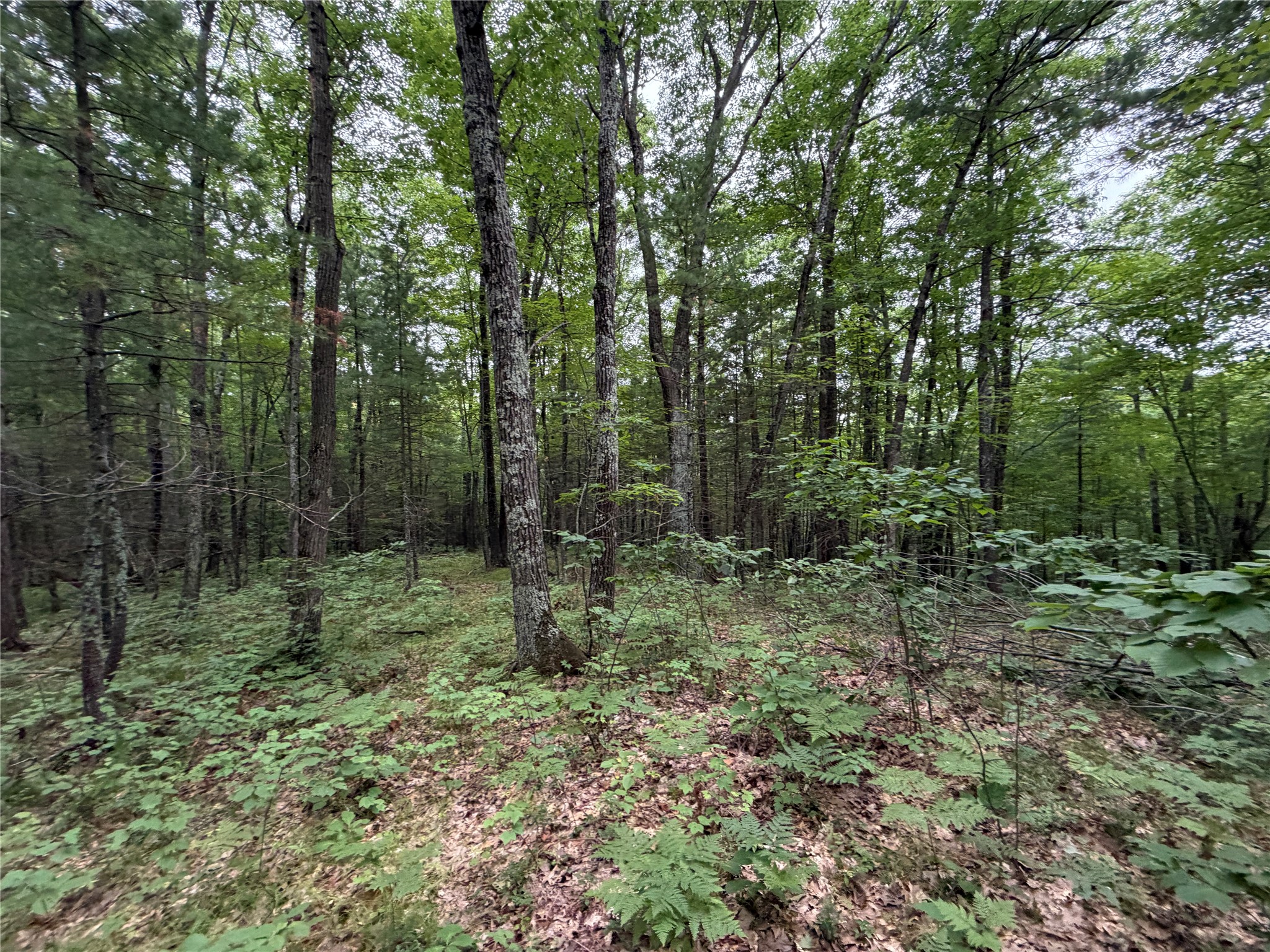 Lot 1 Nor Wis Road North Hayward, WI 54843 - Photo 18 of 37