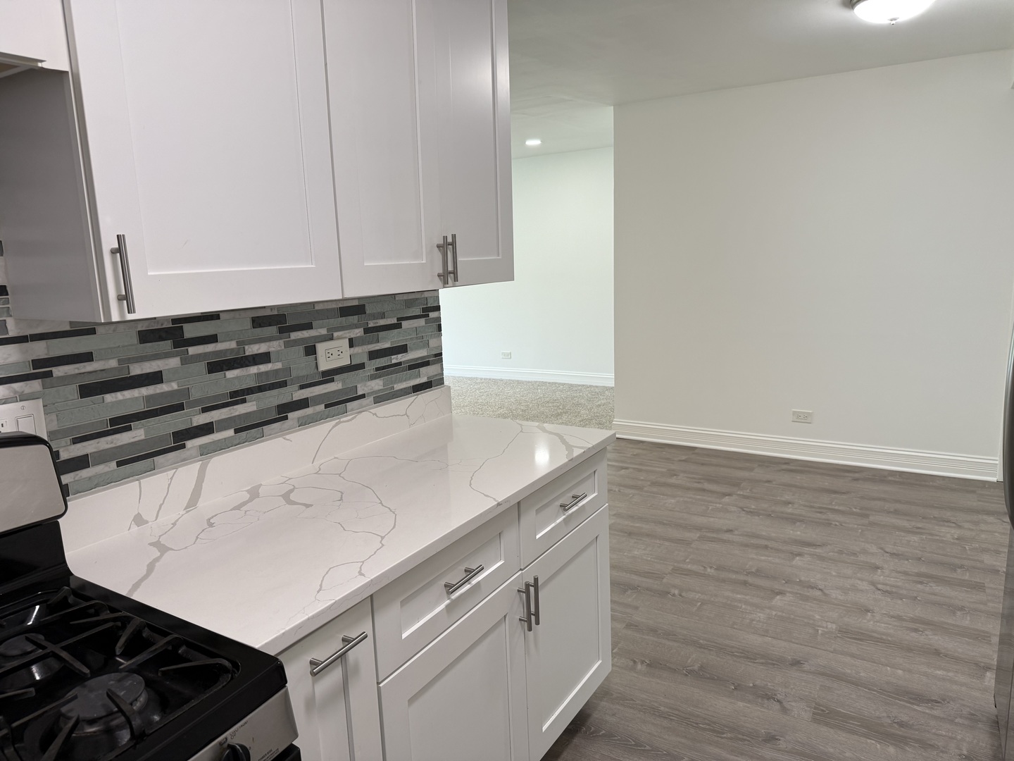 16W525 Mockingbird Lane, Unit 102 Willowbrook, IL 60527 - Photo 14 of 25 a kitchen with a sink stove and cabinets
