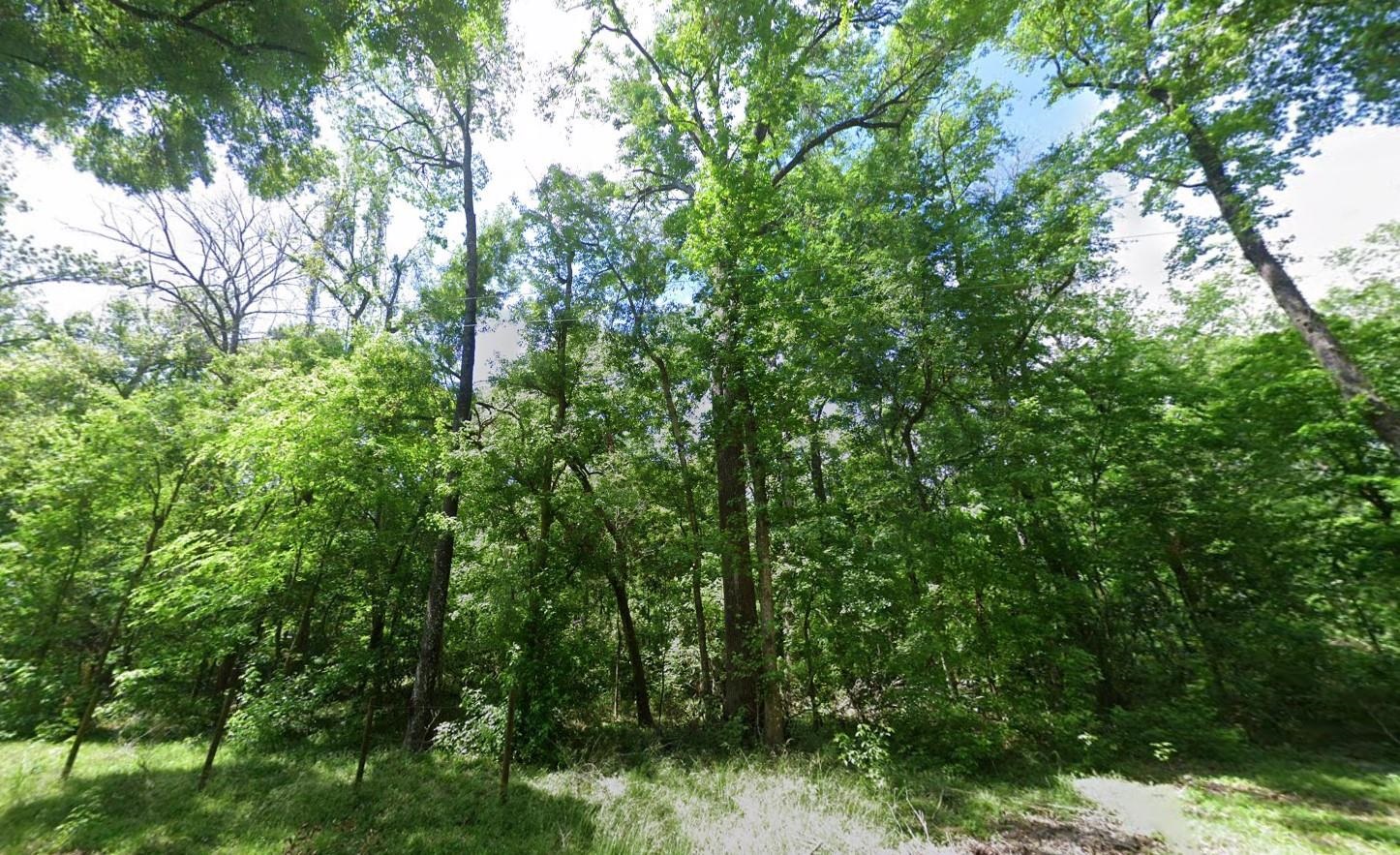 244 Southwest Delaware Way Fort White, FL 32038 - Photo 11 of 11