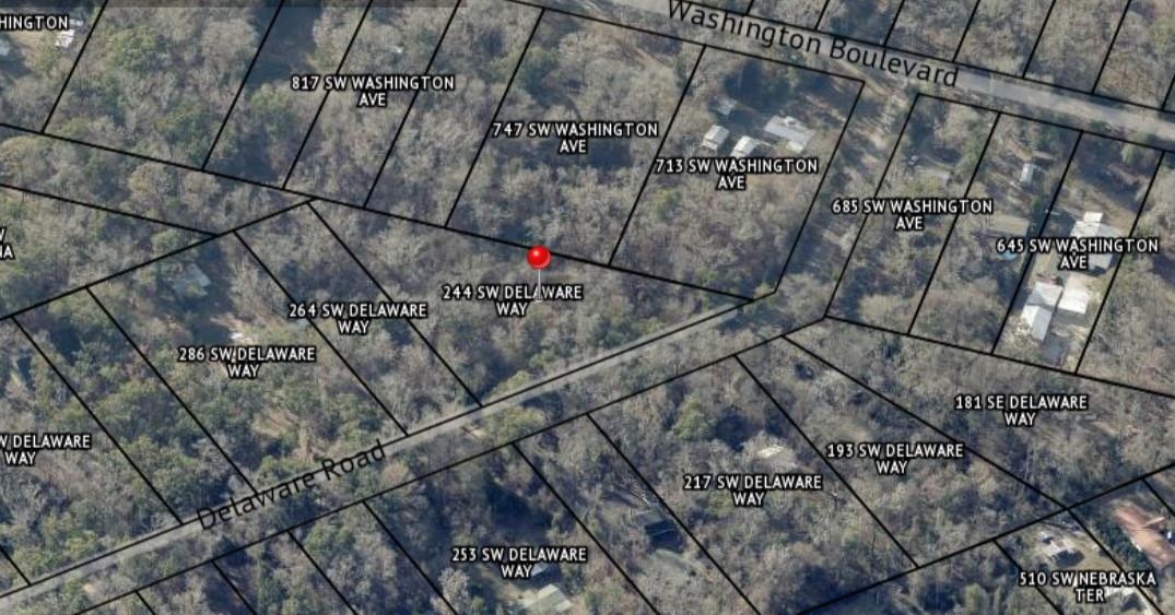 244 Southwest Delaware Way Fort White, FL 32038 - Photo 5 of 11