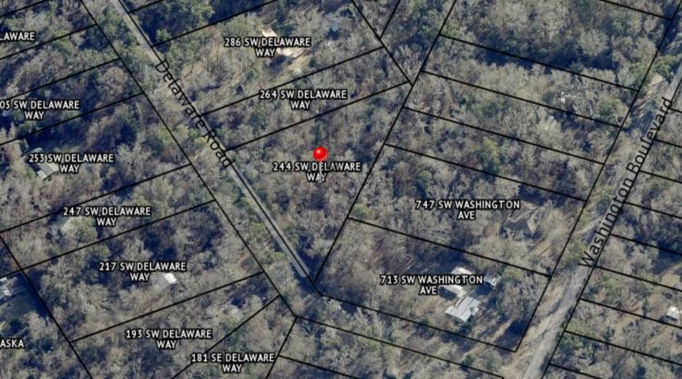 244 Southwest Delaware Way Fort White, FL 32038 - Photo 6 of 11