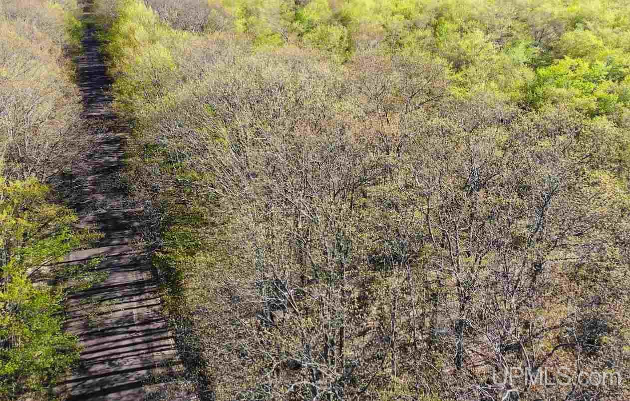 Tbd Rauhala Road, Unit PARCEL 3 Atlantic Mine, MI 49931 - Photo 7 of 19