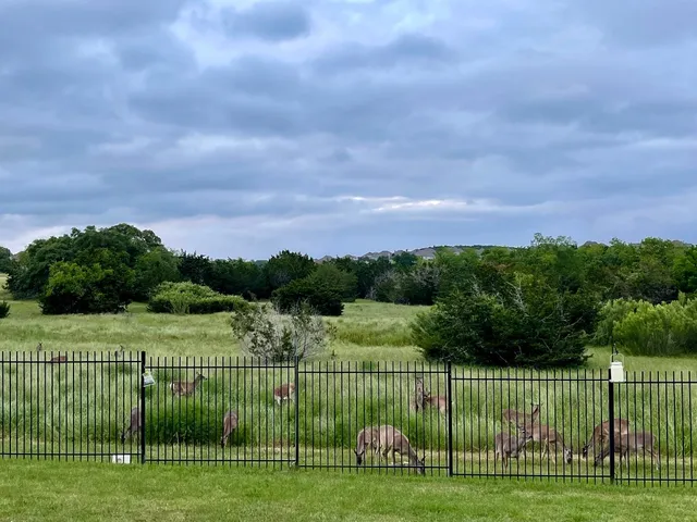 a view of a park with a big yard and plants