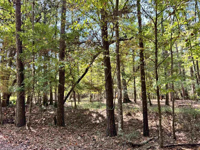 $54,900 | 170 Pine Top Court, Havana, FL 32333