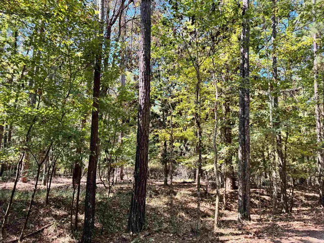 $54,900 | 170 Pine Top Court, Havana, FL 32333