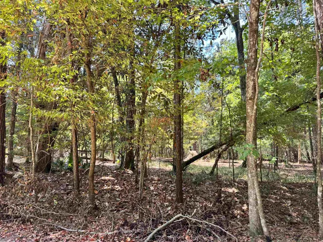 $54,900 | 170 Pine Top Court, Havana, FL 32333