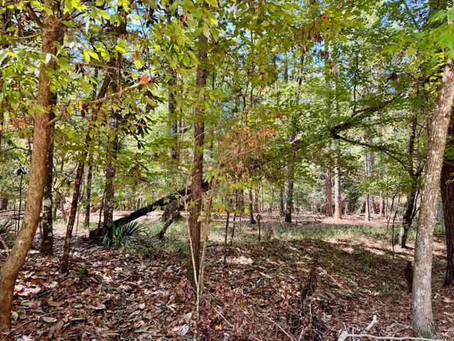 $54,900 | 170 Pine Top Court, Havana, FL 32333