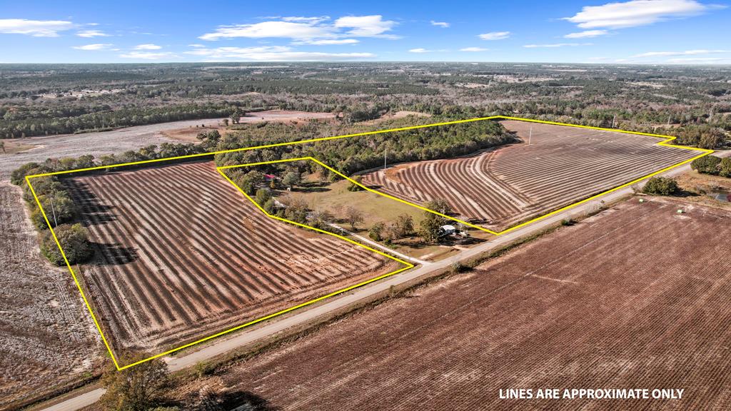 0 Gilley Mill Road Headland, AL 36345 - Photo 1 of 14