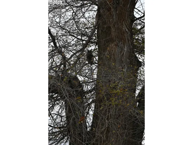 $350,000 | 75938 Spring Hollow Road, Adams, OR 97810