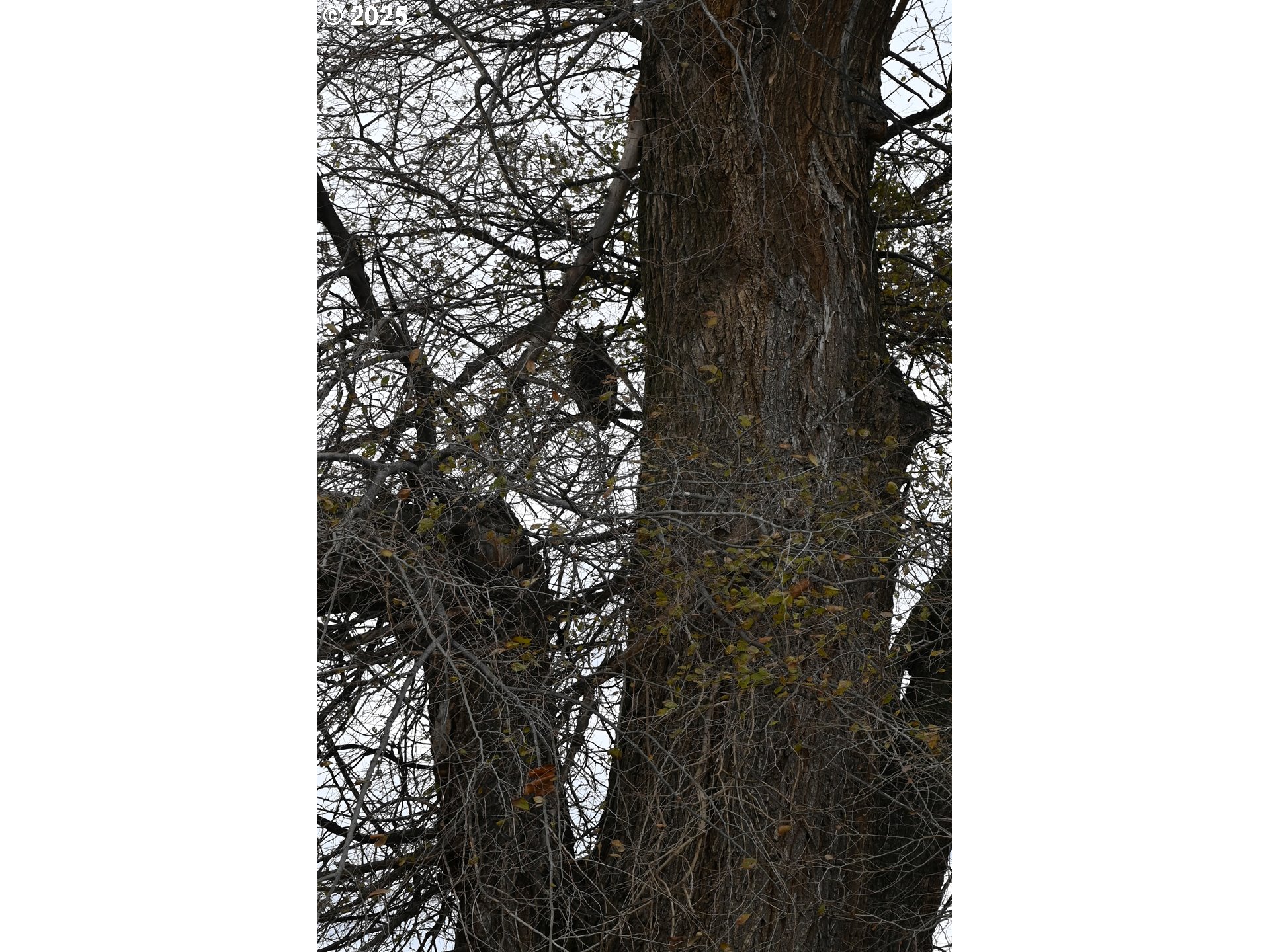 75938 Spring Hollow Road Adams, OR 97810 - Photo 26 of 26 a picture of a door in front of a house