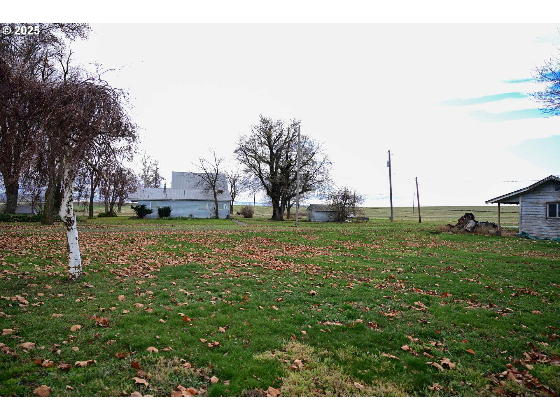 75938 Spring Hollow Road Adams, OR 97810 - Photo 3 of 26 a view of a field with grass and trees