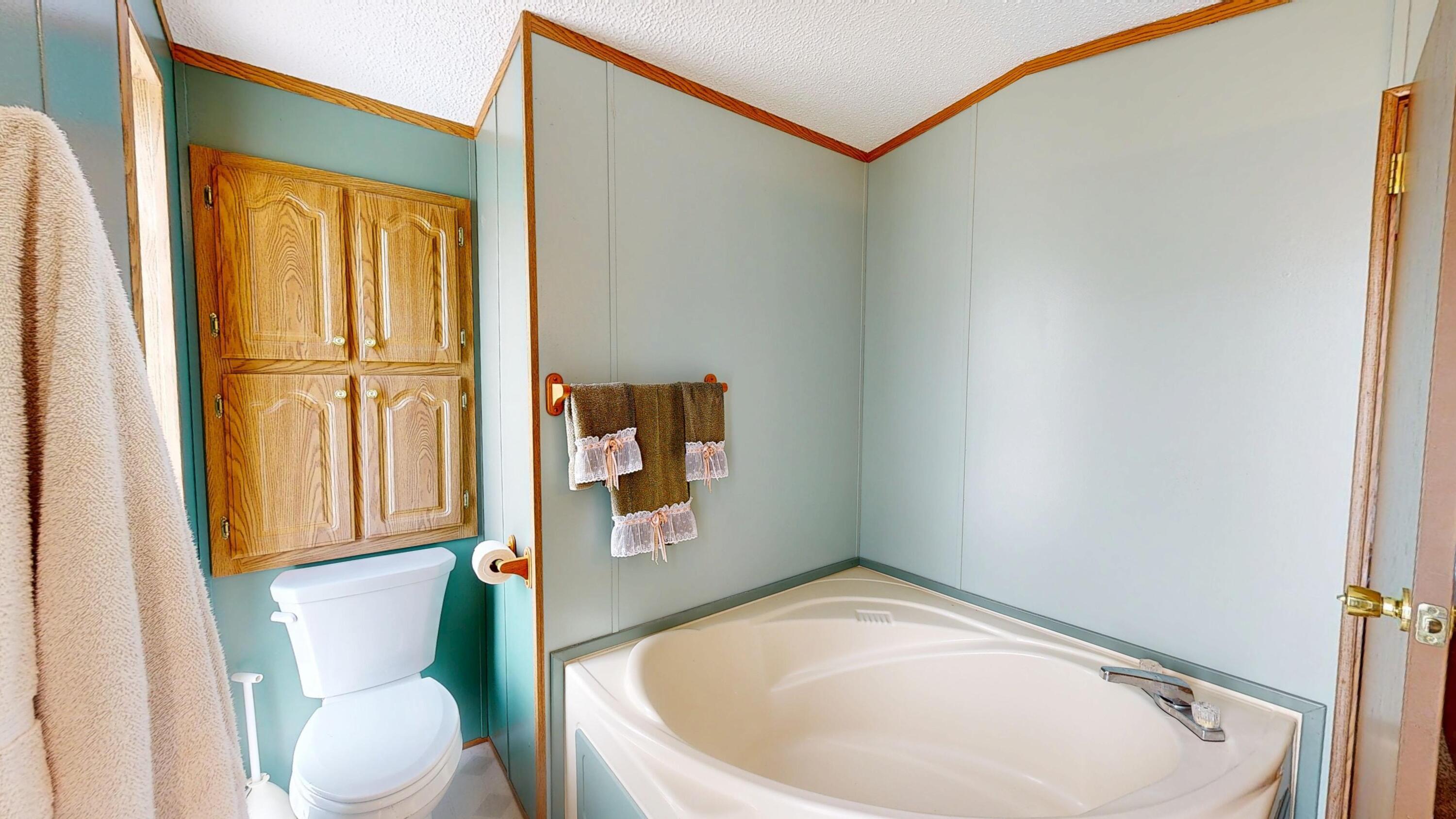 E2817 South Creek Road De Soto, WI 54624 - Photo 17 of 32 Master Bathroom