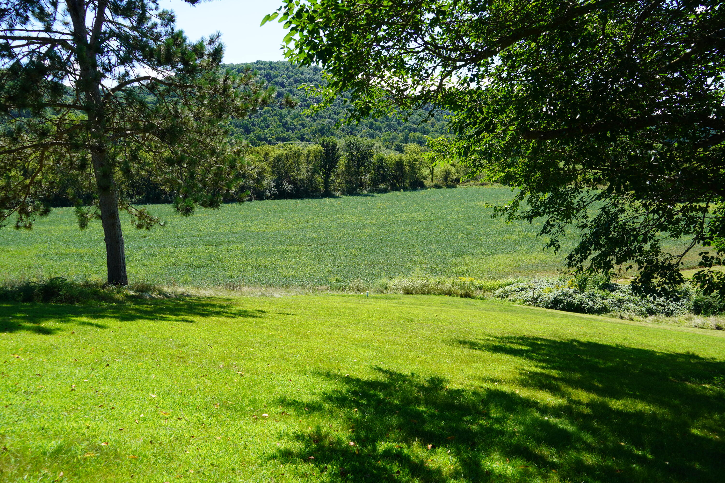 E2817 South Creek Road De Soto, WI 54624 - Photo 30 of 32 DSC00895