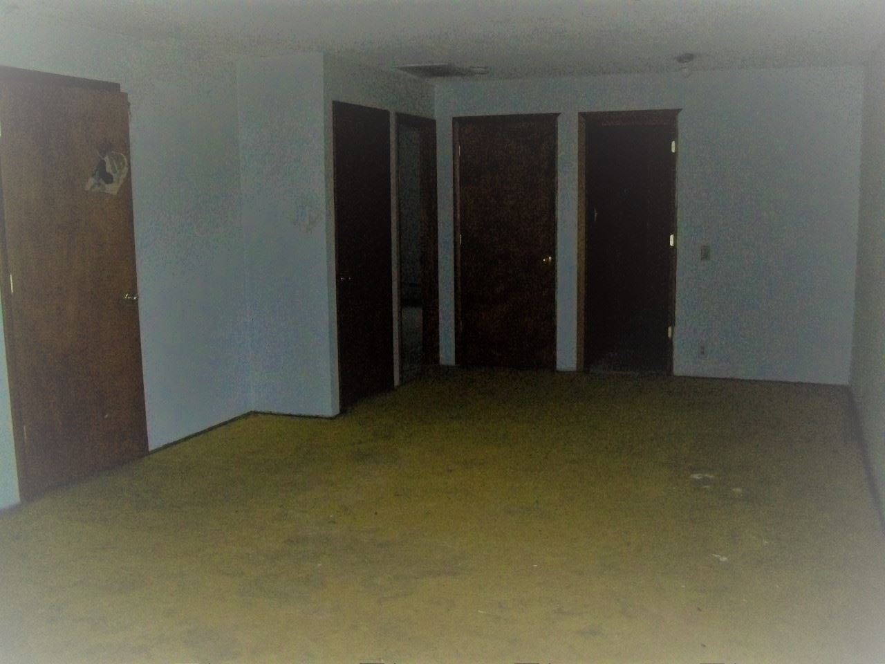 11345 West St Charles Road Sumner, MI 48889 - Photo 25 of 28 1844881-24.JPG