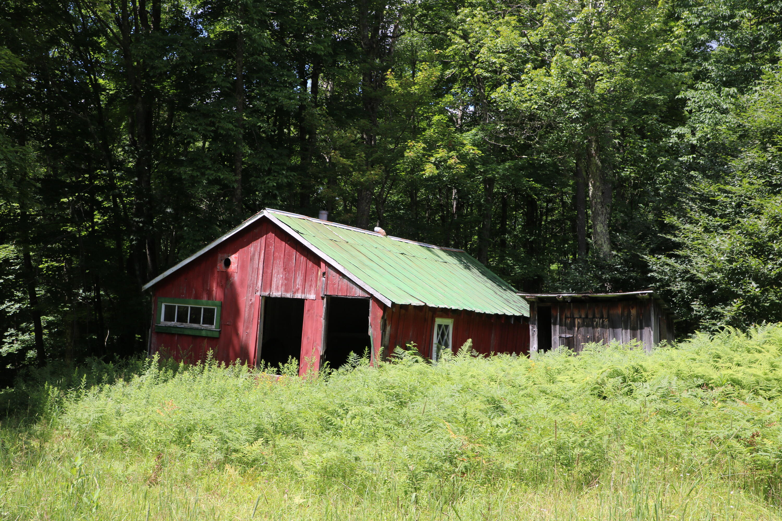 460 Little John Road Colton, NY 13625 - Photo 14 of 14 Camp #2_IMG_4591