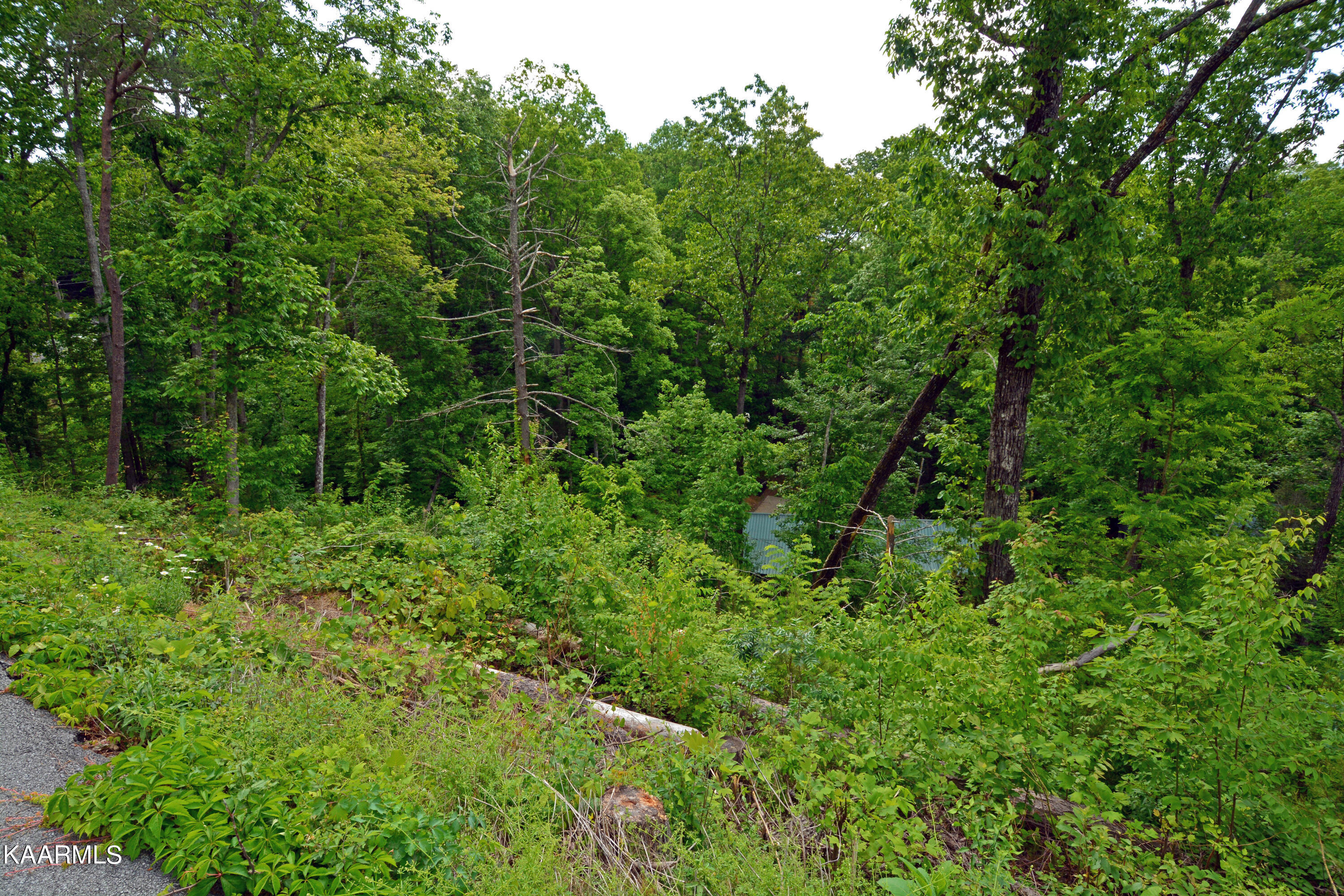 Old Cartertown Road Gatlinburg, TN 37738 - Photo 8 of 16 DSC_7019