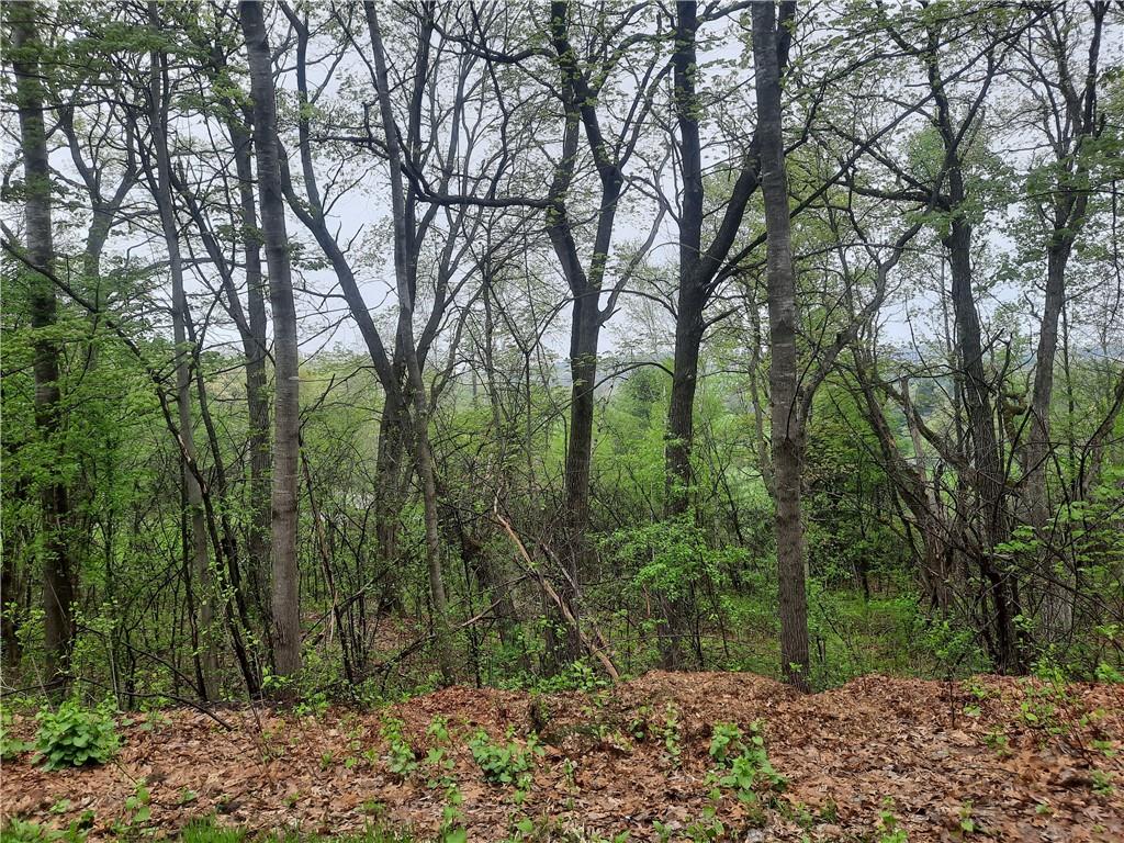 Lot 103 Rye Bluff Road Black River Falls, WI 54615 - Photo 2 of 3