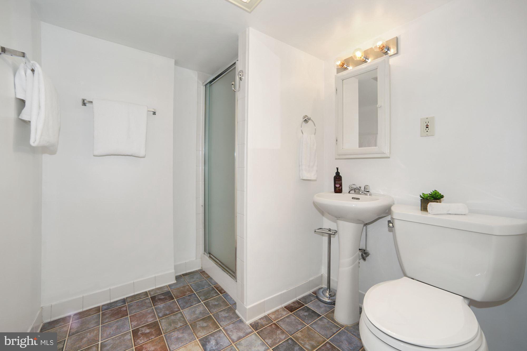 151 E Street Southeast Washington, DC 20003 - Photo 26 of 27 Lower Level - Third Full Bath