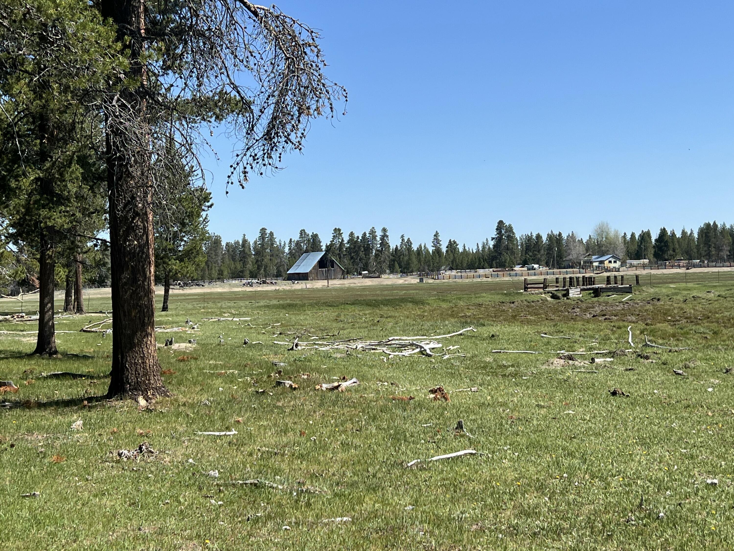 151772 Beal Road La Pine, OR 97739 - Photo 31 of 35 View from wooded pasture