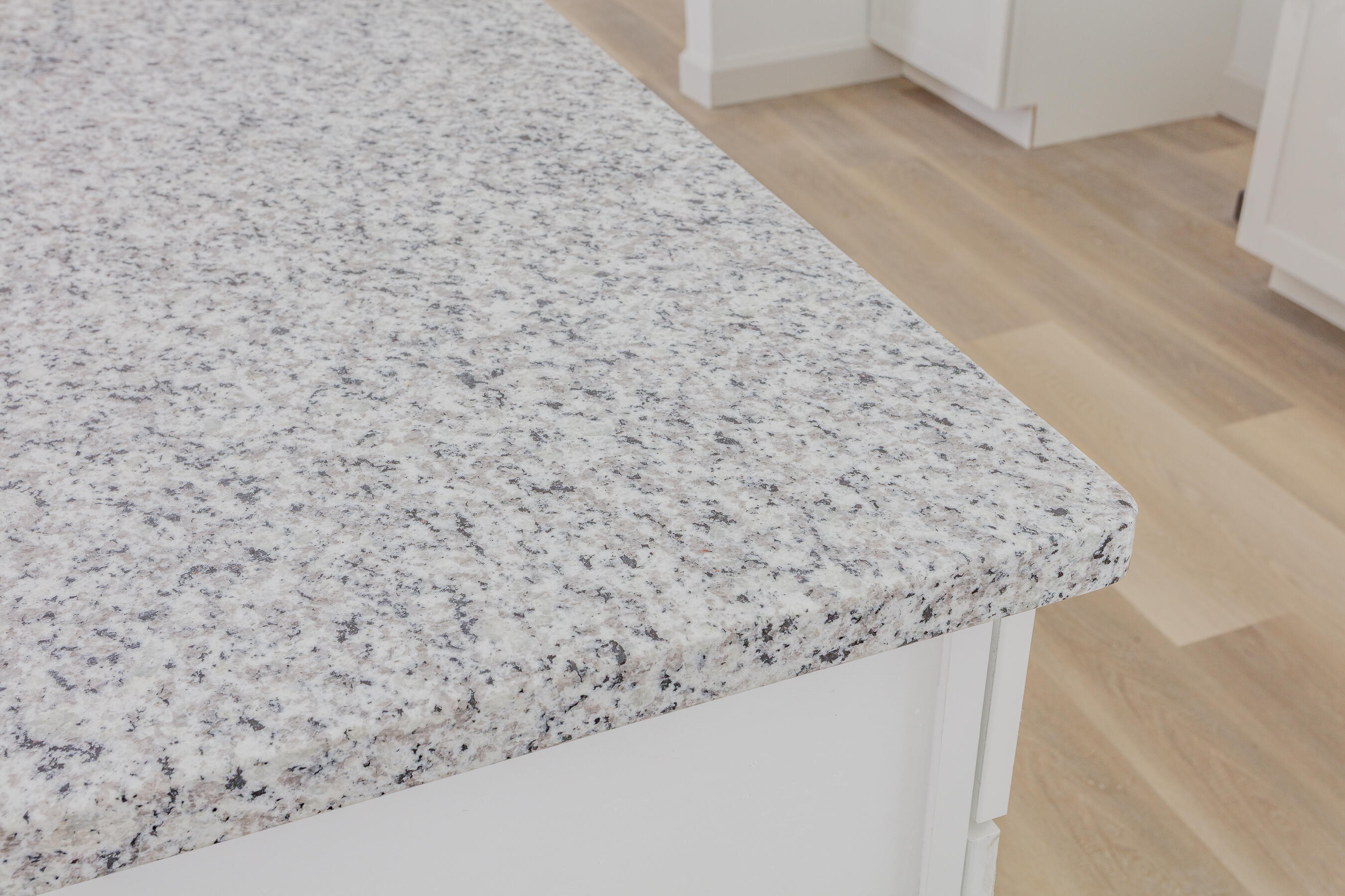 1006 McBrien Road Chattanooga, TN 37412 - Photo 5 of 22 1006 McBrien HD-22