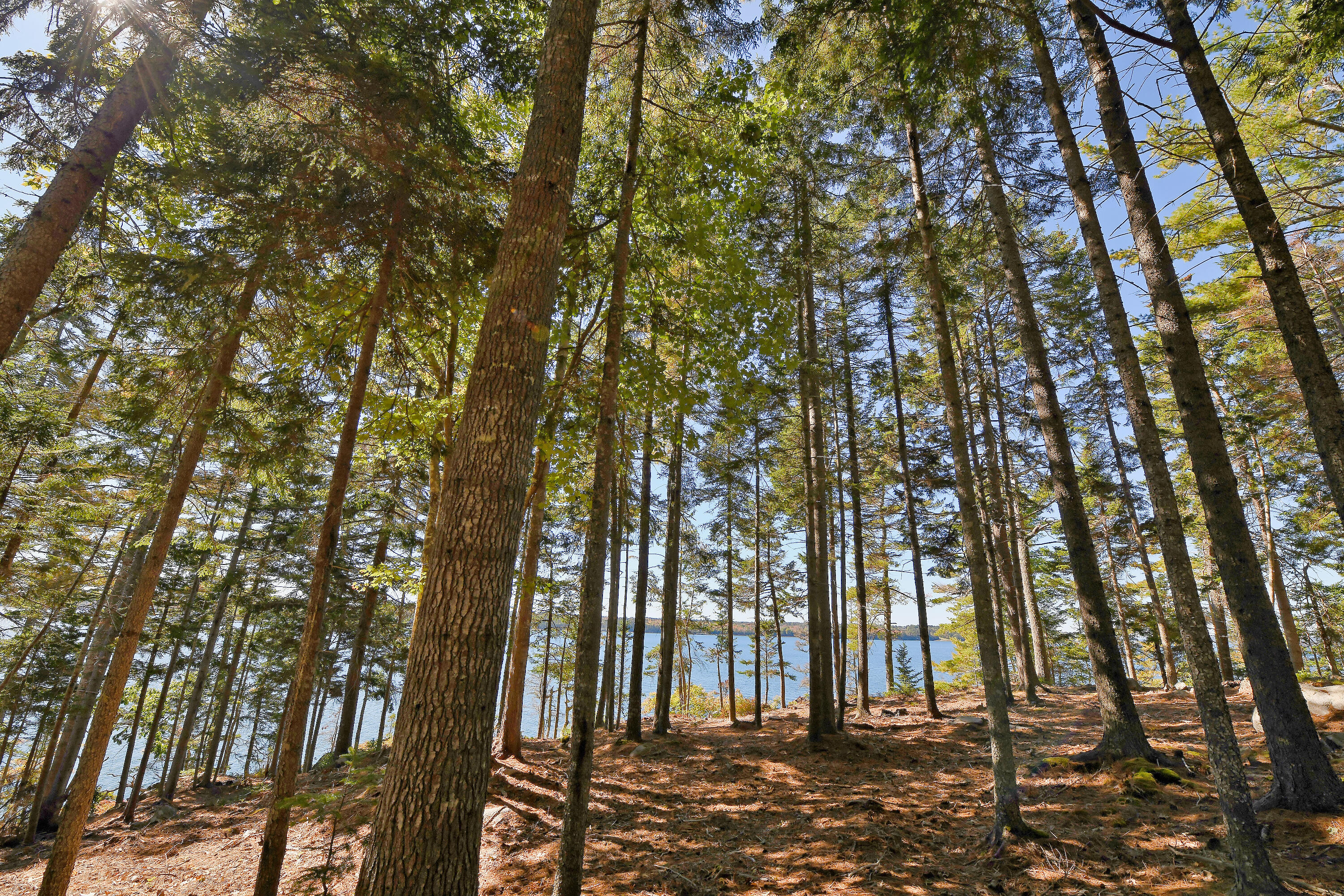 Lot 6 Sunset Road Brooksville, ME 04617 - Photo 9 of 35