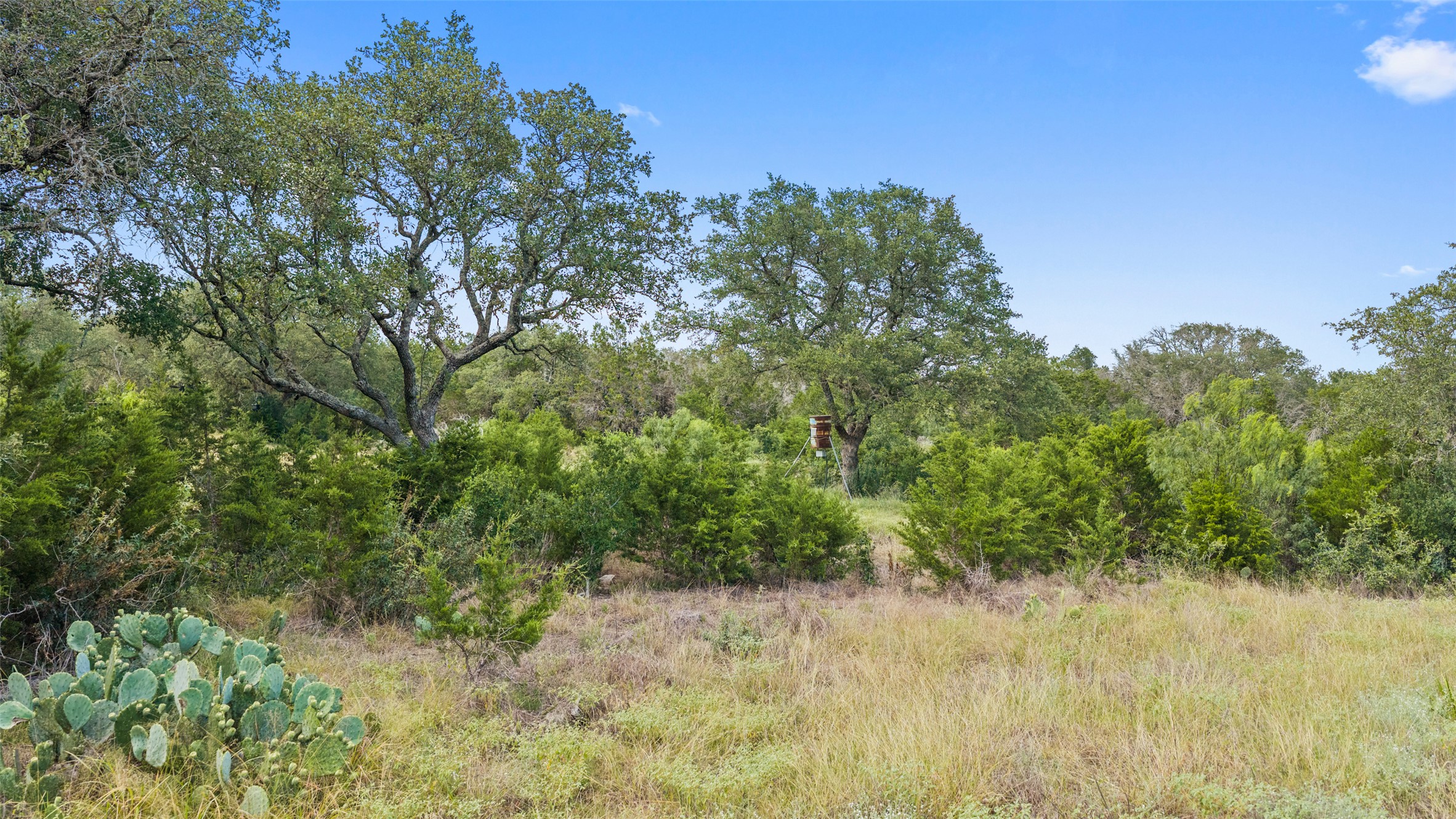 764 Stubbs Road Johnson City, TX 78636 - Photo 28 of 29 Vast natural landscaping with mature trees offers privacy and a peaceful setting.