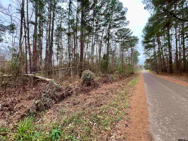 a view of backyard with green space