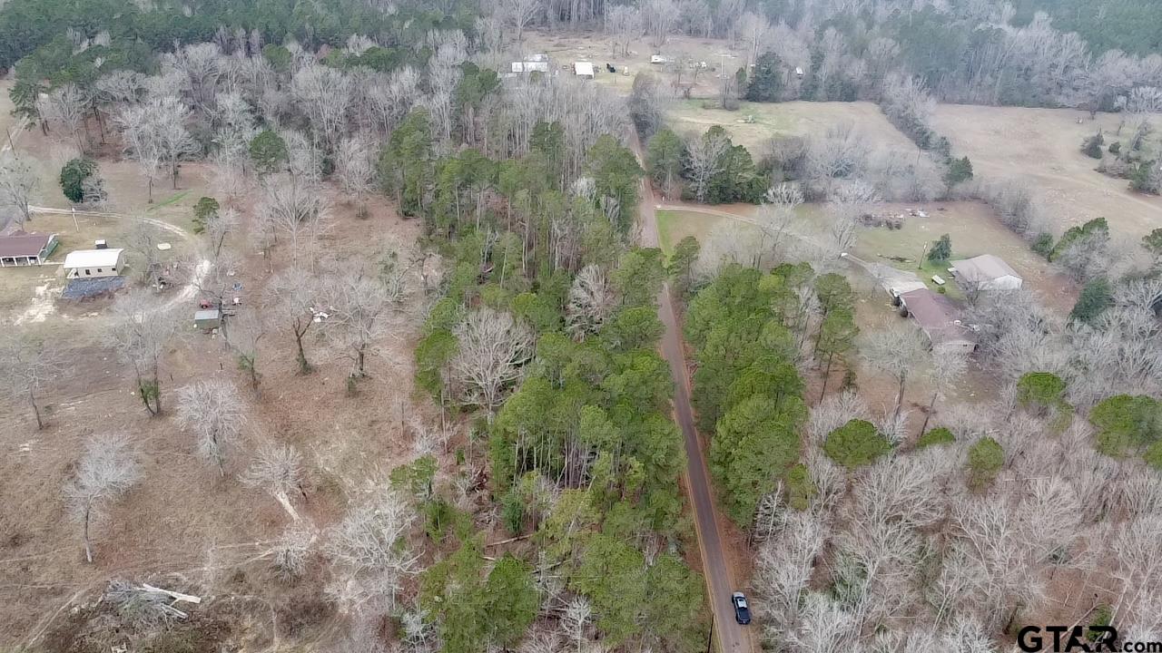 Tbd Reddick Road Ore City, TX 75683 - Photo 3 of 11 a view of a dry yard with large trees