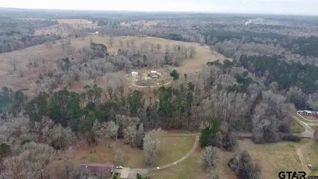 a view of a dry yard