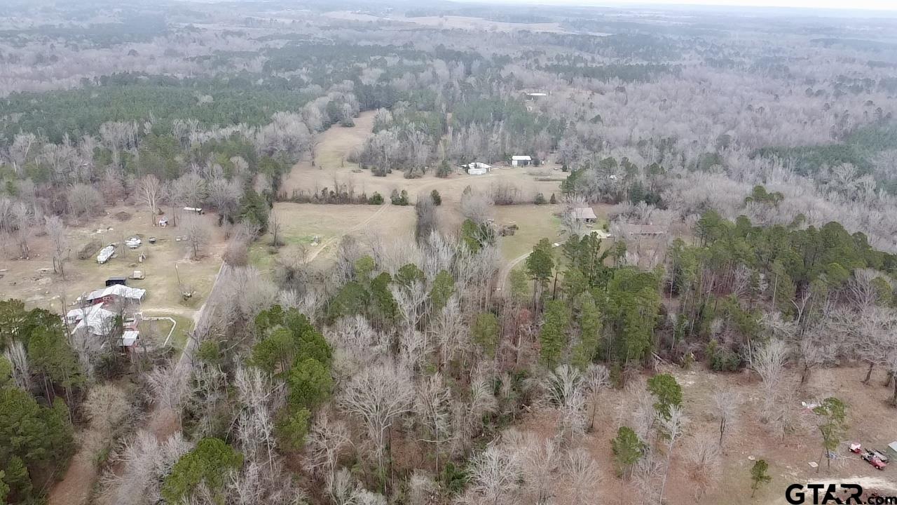Tbd Reddick Road Ore City, TX 75683 - Photo 6 of 11 a view of a yard