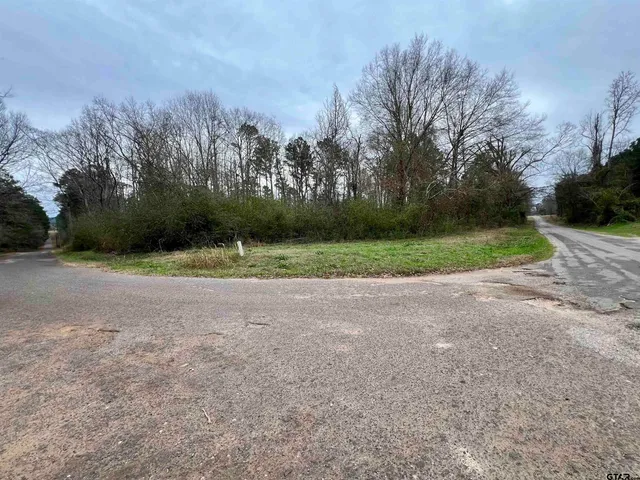 a view of a field with trees in background
