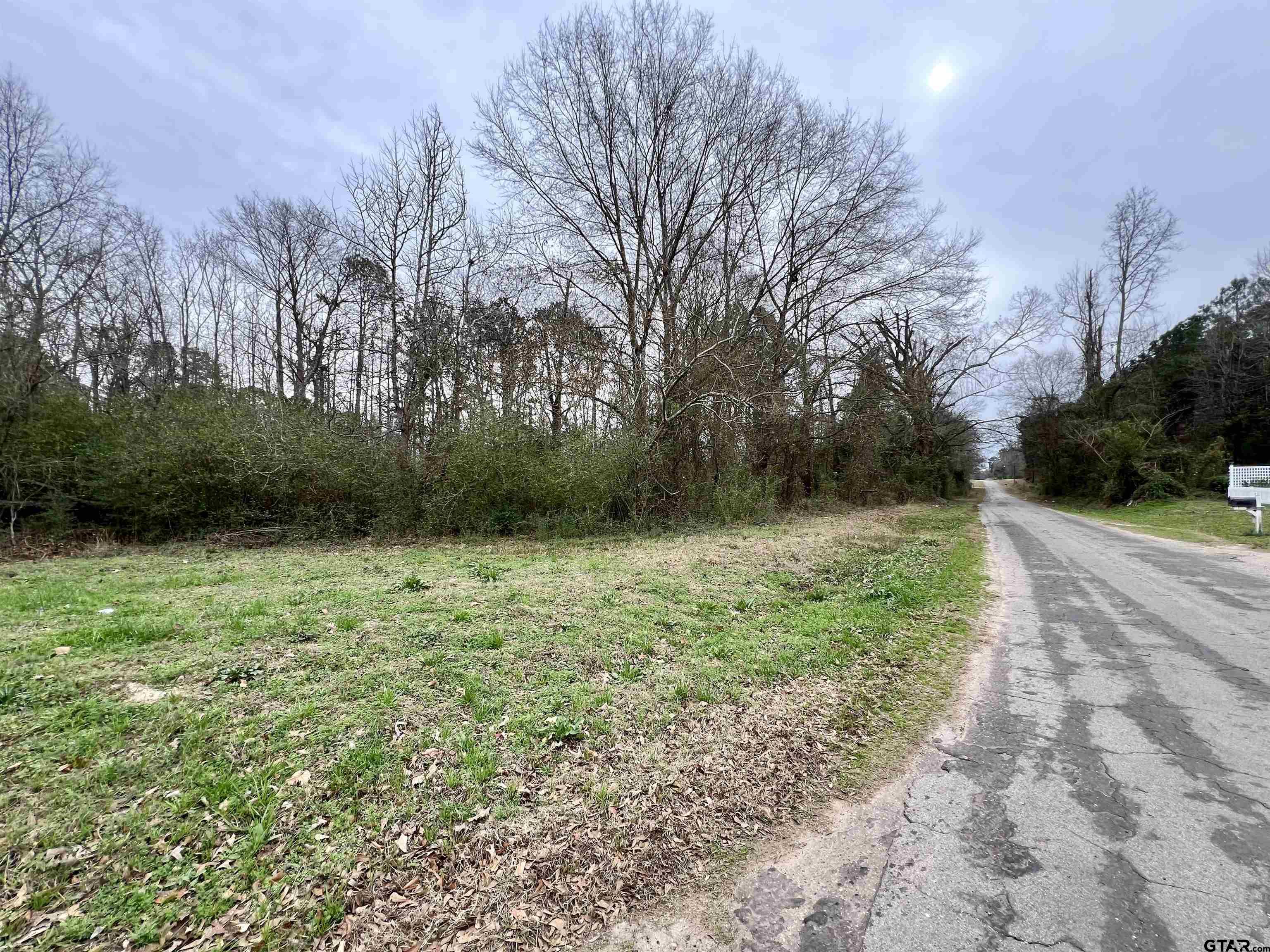 Tbd Reddick Road Ore City, TX 75683 - Photo 8 of 11 a view of a backyard