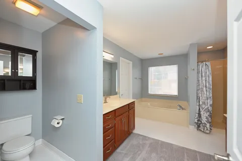 a bathroom with a tub sink and mirror