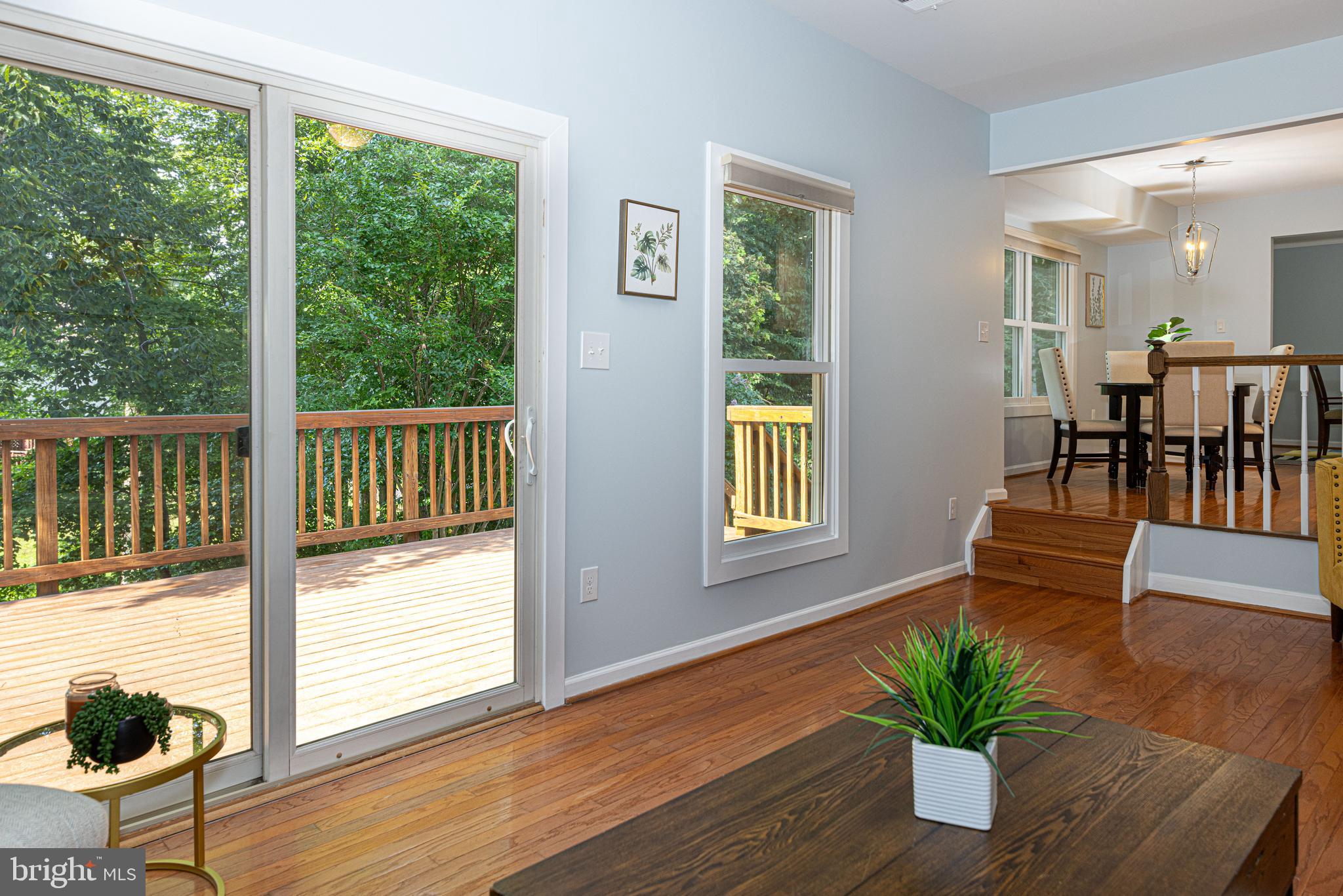 8296 Lindside Way Springfield, VA 22153 - Photo 5 of 44 Updated windows throughout bring the outside in.