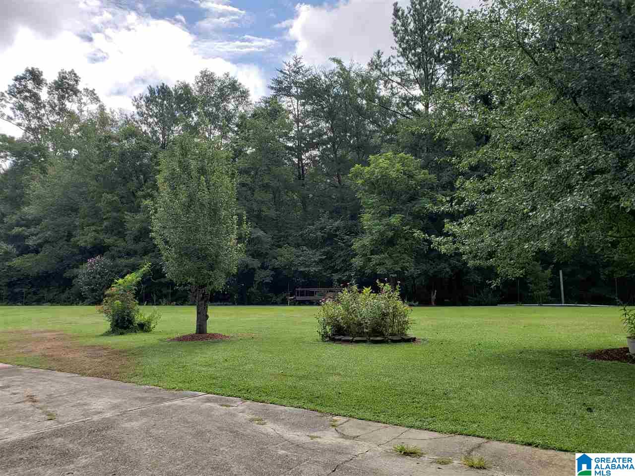 640 Old Highway 75 Oneonta, AL 35121 - Photo 36 of 43