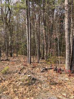 0 Evans Way Sebago, ME 04029 - Photo 1 of 10 0 Evans Way