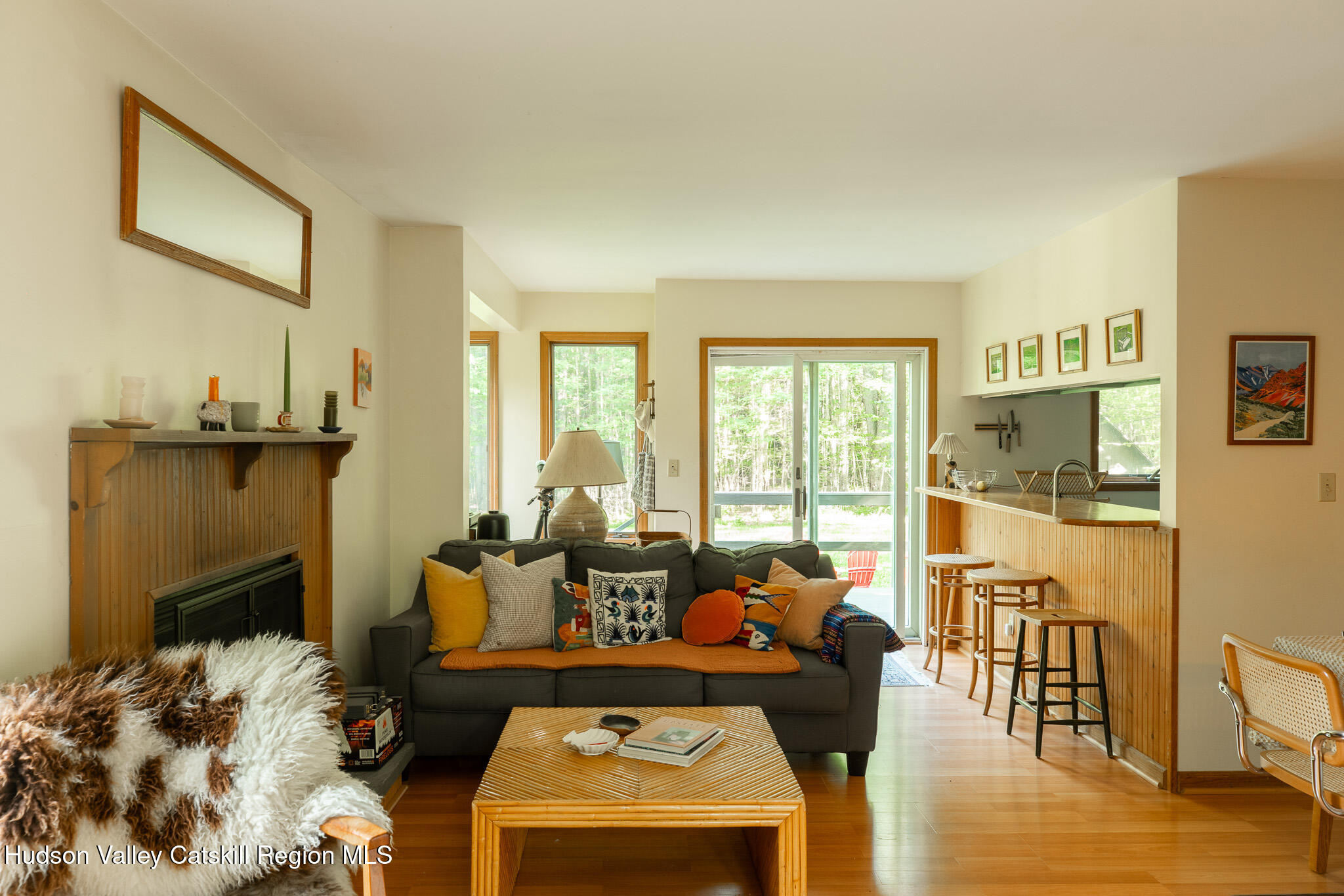 3 Wase Road Elka Park, NY 12427 - Photo 4 of 45 WR4