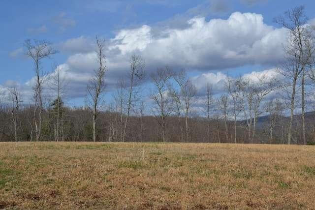 204 Brush Road Lewisburg, WV 24901 - Photo 23 of 60 Gallery Image 23