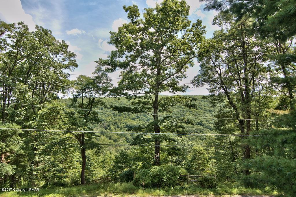 342 Summit Road Swiftwater, PA 18370 - Photo 48 of 53 a view of a lush green forest